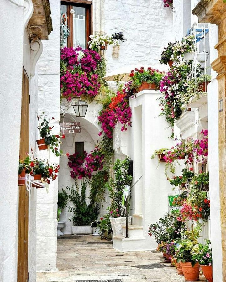 La Volta Del Conte-Holiday Home Centro Storico チステルニーノ エクステリア 写真